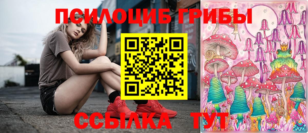 Галлюциногенные грибы MAGIC MUSHROOMS  Вход с VPN  Хасавюрт  Галлюциногенные грибы Cubensis 