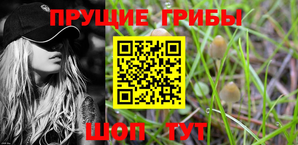 Галлюциногенные грибы мухоморы Хасавюрт